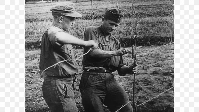 Gothic Line Demining Ripa Barbed Wire Seravezza, PNG, 960x540px, Demining, Barbed Wire, Black And White, Explosive Material, Forte Dei Marmi Download Free