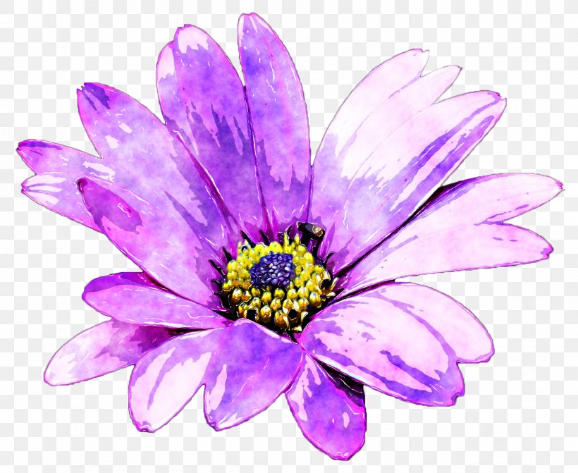 Purple Flower Watercolor Painting, PNG, 1366x1118px, Purple, Aster, Centerblog, Chrysanths, Close Up Download Free