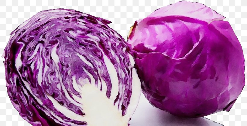 Red Cabbage Vegetable Purple Violet Cabbage, PNG, 812x417px, Watercolor, Cabbage, Food, Leaf Vegetable, Paint Download Free