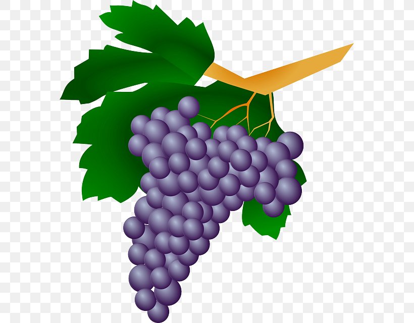 White Wine Grape Kyoho Straw Wine, PNG, 583x640px, Wine, Common Grape Vine, Flowering Plant, Food, Fruit Download Free