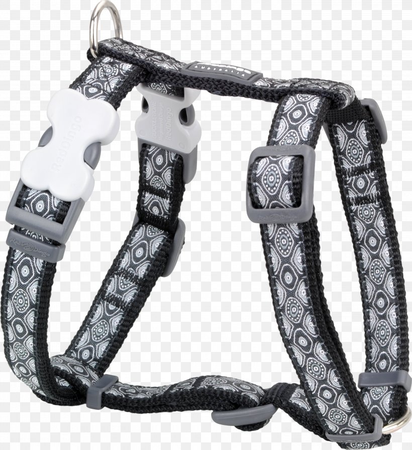 Dog Harness Dingo Puppy Dog Collar, PNG, 3000x3278px, Dog, Cat, Collar, Dingo, Dog Collar Download Free