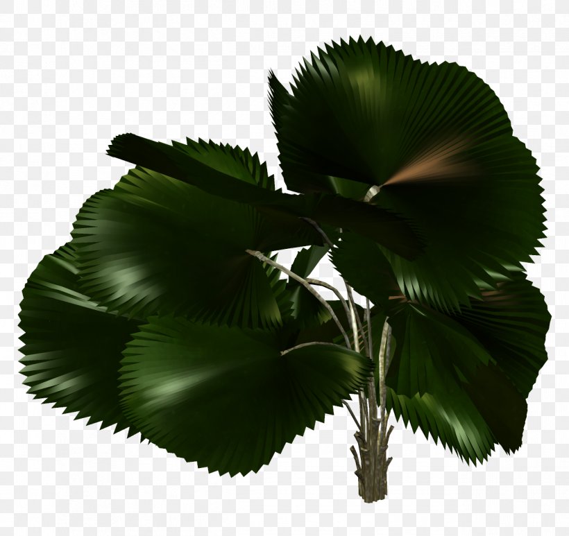 Palm Trees Leaf Plants, PNG, 1263x1191px, Palm Trees, Art, Centerblog, Coconut, Leaf Download Free
