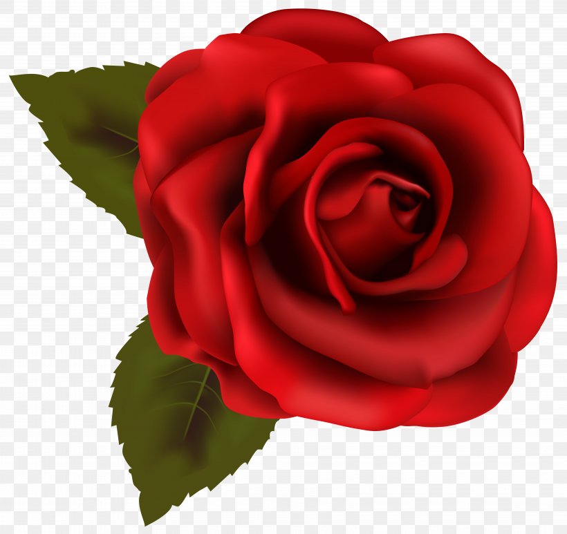 Rose Red Clip Art, PNG, 6904x6511px, Rose, Blue, Blue Rose, China Rose, Close Up Download Free