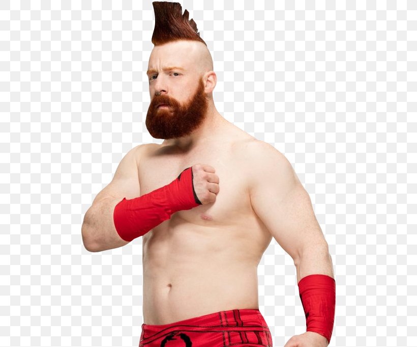 Sheamus Raw Image Format, PNG, 501x681px, Watercolor, Cartoon, Flower, Frame, Heart Download Free