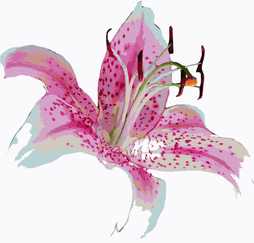 Tiger Lily Lilium 'Stargazer' Flower Clip Art, PNG, 2400x2292px, Tiger Lily, Arumlily, Cut Flowers, Flora, Floral Design Download Free