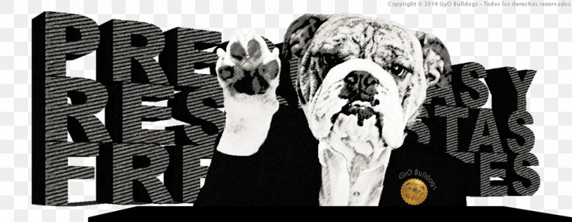 French Bulldog Pug Snout Race, PNG, 974x378px, Bulldog, Behavior, Black And White, Brand, Carnivoran Download Free