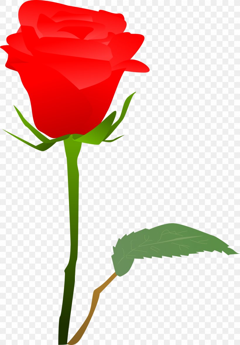Garden Roses Clip Art, PNG, 1670x2400px, Garden Roses, Bud, Carnation, Cut Flowers, Flower Download Free