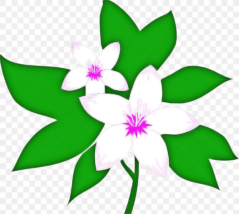 Green Leaf Background, PNG, 958x858px, Petal, Flower, Green, Leaf, Plant Download Free