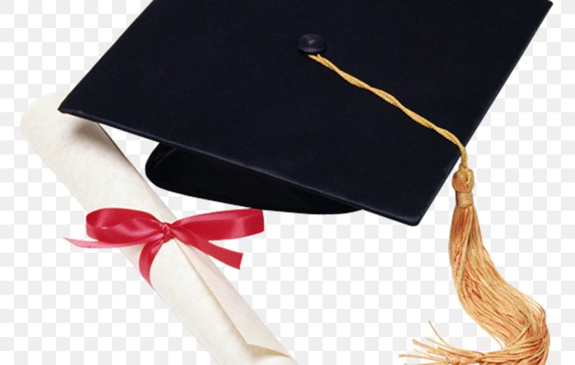 Toga Graduation Ceremony School National Association For The Education Of Young Children Early Childhood Education, PNG, 780x520px, 2017, Toga, Ancient Rome, Batesville High School, Early Childhood Education Download Free