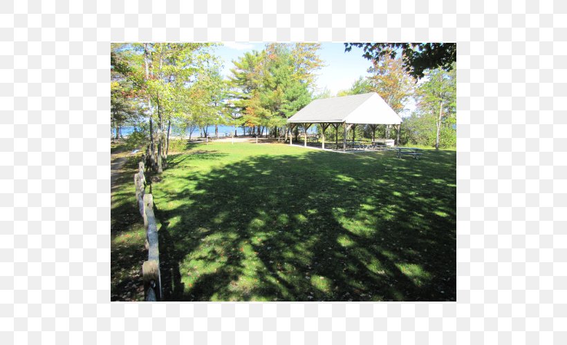Backyard Shade Canopy Landscape Property, PNG, 500x500px, Backyard, Canopy, Estate, Garden, Grass Download Free
