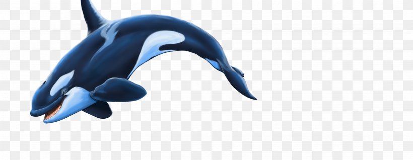 Common Bottlenose Dolphin Vertebrate Short-beaked Common Dolphin Tucuxi, PNG, 3504x1360px, Dolphin, Animal, Animal Figure, Aquatic Animal, Beak Download Free