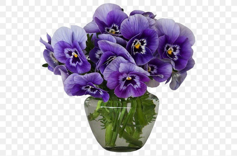 Flower Violet Vase Pansy Purple, PNG, 568x541px, Flower, African Violets, Cut Flowers, Flower Bouquet, Flowering Plant Download Free