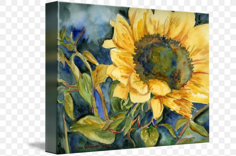 Still Life Photography Watercolor Painting Sunflower Seed, PNG, 650x544px, Still Life, Artwork, Daisy Family, Flower, Flowering Plant Download Free