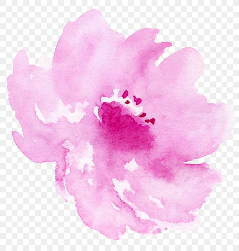 Watercolor: Flowers Watercolor Painting Illustration, PNG, 1079x1133px, Watercolor Flowers, Azalea, Flower, Flowering Plant, Gratis Download Free