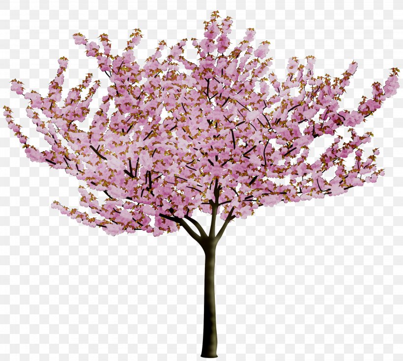 Cherry Blossom Image Tree, PNG, 3070x2754px, Cherry Blossom, Artificial Flower, Blossom, Branch, Cherries Download Free