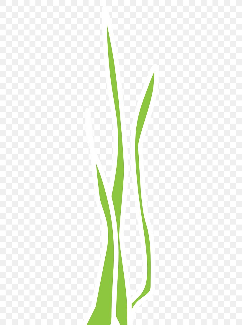 Leaf Green Grasses Plant Stem Clip Art, PNG, 287x1100px, Leaf, Flora, Flower, Grass, Grass Family Download Free