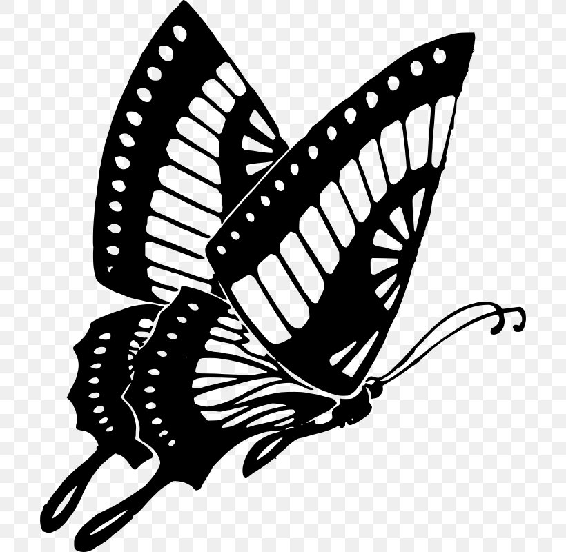 Monarch Butterfly Clip Art, PNG, 704x800px, Butterfly, Arthropod, Black And White, Black Butterfly, Brush Footed Butterfly Download Free