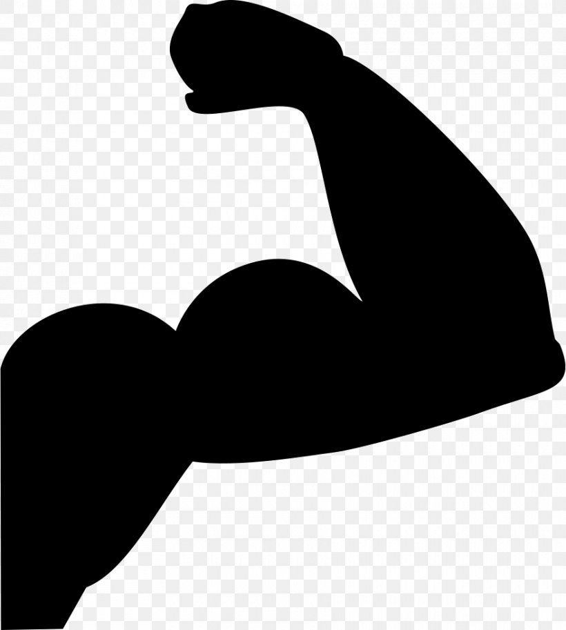 Muscle Clip Art, PNG, 880x980px, Muscle, Arm, Biceps, Black, Black And White Download Free