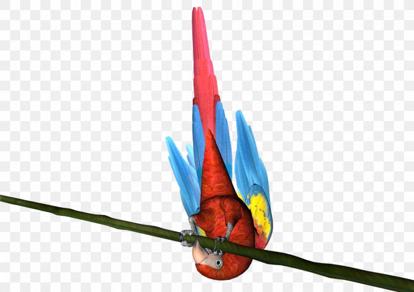 Macaw, PNG, 1024x724px, Macaw, Bird, Vertebrate Download Free