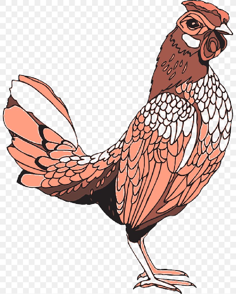 Rooster Clip Art Chicken Coloring Book Image, PNG, 800x1021px, Rooster, Animal, Animal Figure, Bauernhof, Beak Download Free