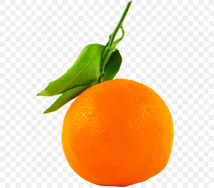 Bergamot Orange Fruitarianism Juice, PNG, 542x720px, Orange, Bergamot Orange, Bitter Orange, Chenpi, Citric Acid Download Free