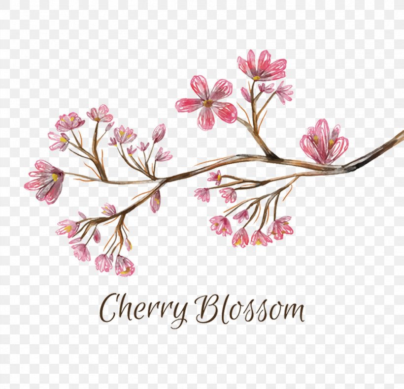 National Cherry Blossom Festival, PNG, 1024x988px, National Cherry Blossom Festival, Blossom, Branch, Cherry, Cherry Blossom Download Free