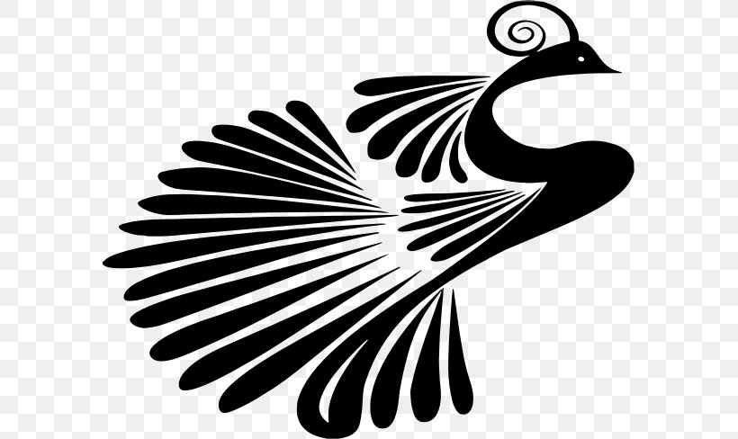 Peafowl Clip Art, PNG, 591x488px, Peafowl, Beak, Bird, Black And White, Copyright Download Free