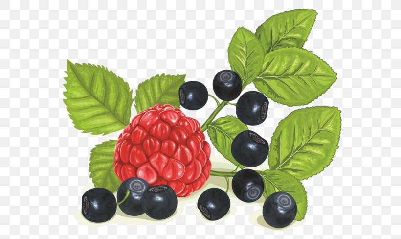 Raspberry Blueberry Bilberry Clip Art, PNG, 600x488px, Berry, Auglis, Bilberry, Blackberry, Blueberry Download Free