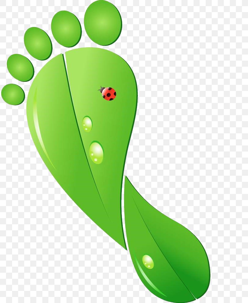 Carbon Footprint Ecological Footprint Ecology Clip Art, PNG, 811x1000px, Carbon Footprint, Ecological Footprint, Ecology, Environmentalism, Footprint Download Free