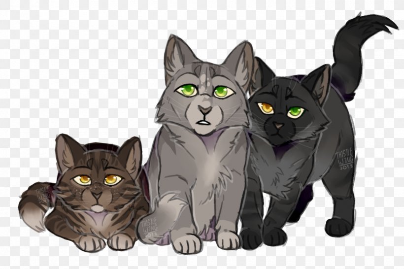 Korat Kitten Black Cat Domestic Short-haired Cat SkyClan's Destiny, PNG, 1280x853px, Korat, Black Cat, Carnivoran, Cat, Cat Like Mammal Download Free