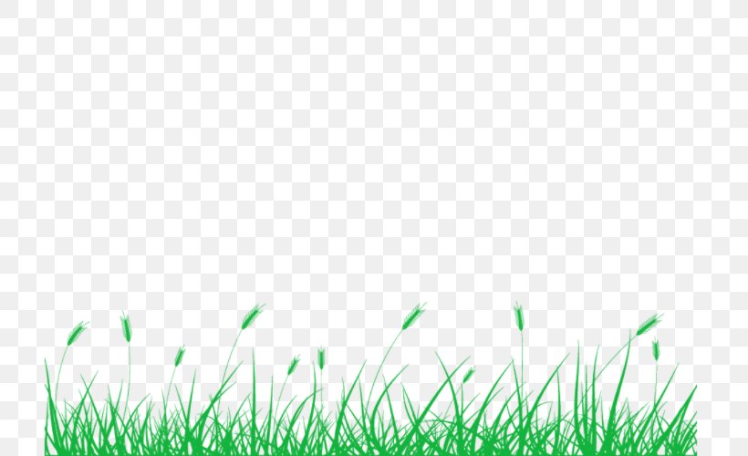 Lawn Pens Meadow Grasses, PNG, 750x500px, Lawn, Bamboo, Blog, Commodity, Computer Download Free