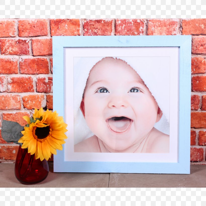 Picture Frames Wood Reclaimed Lumber Material, PNG, 1200x1200px, Picture Frames, Barn, Facial Expression, Flower, Lumber Download Free