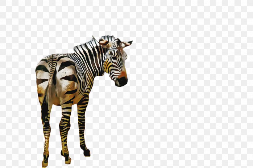 Zebra Wildlife Animal Figure Snout Quagga, PNG, 2448x1632px, Zebra, Animal Figure, Quagga, Snout, Wildlife Download Free