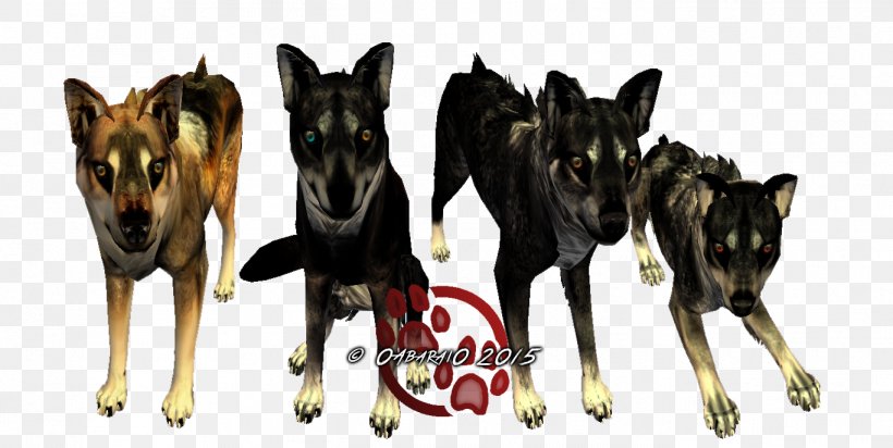 German Shepherd Siberian Husky Hyena Pack Feral Animal, PNG, 1366x687px, German Shepherd, Alpha, Animal, Black Wolf, Canidae Download Free