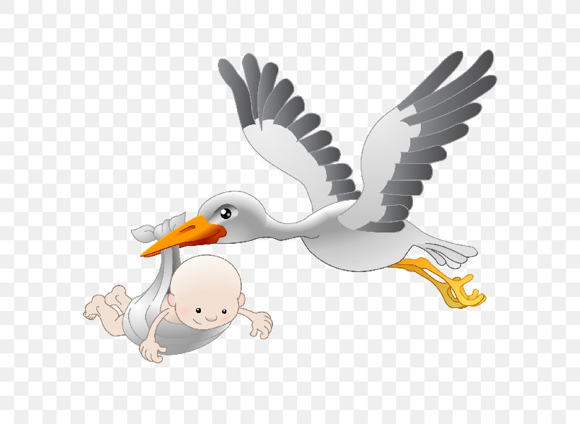 Infant Stork Clip Art, PNG, 600x600px, Infant, Baby Shower, Beak, Bird, Bird Of Prey Download Free