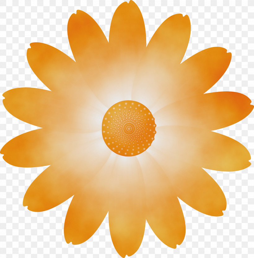 Orange, PNG, 2952x3000px, Marguerite Flower, Circle, Flower, Gerbera, Orange Download Free