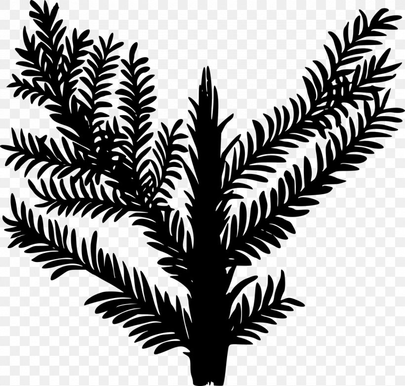 Plant Triassic Date Palm Clip Art, PNG, 1280x1220px, Plant, Alpine Plant, Arecales, Black And White, Date Palm Download Free