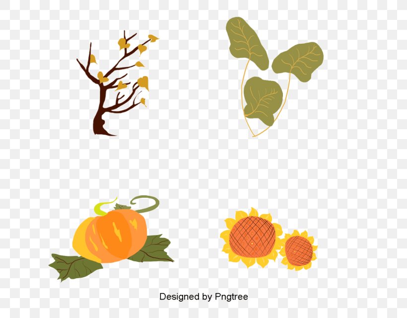 Pumpkin Vegetable Image Squash Autumn, PNG, 640x640px, Pumpkin, Autumn, Bargli Sabzavotlar, Branch, Cucurbita Download Free