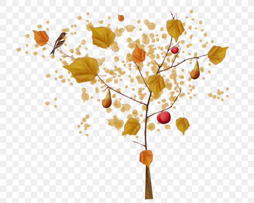 Tree Autumn, PNG, 4500x3600px, Tree, Autumn, Branch, Designer, Floral Design Download Free