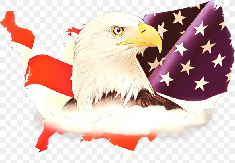 Veterans Day Flag, PNG, 938x654px, Cartoon, Accipitridae, Accipitriformes, Bald Eagle, Beak Download Free