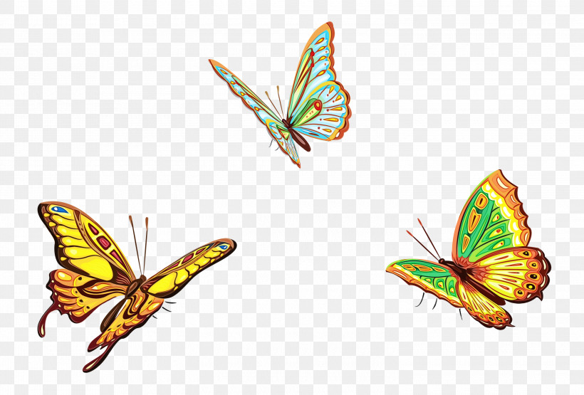 Butterfly Insect Moths And Butterflies Pollinator Wing, PNG, 3000x2034px, Watercolor, Brushfooted Butterfly, Butterfly, Insect, Lycaenid Download Free