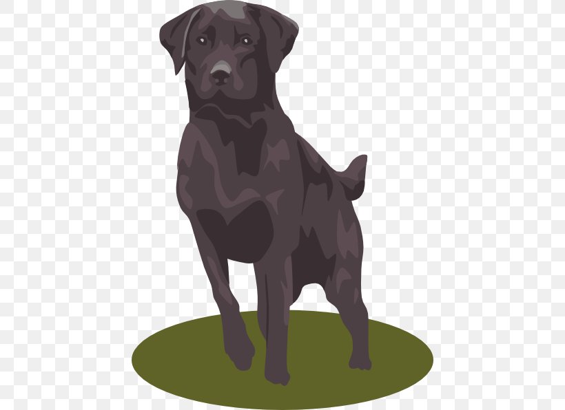 Labrador Retriever Golden Retriever Puppy Clip Art, PNG, 438x596px, Labrador Retriever, Borador, Carnivoran, Companion Dog, Dog Download Free