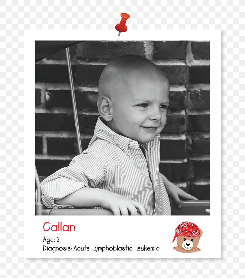 Toddler Human Behavior Poster Infant, PNG, 802x930px, Toddler, Behavior, Child, Forehead, Homo Sapiens Download Free