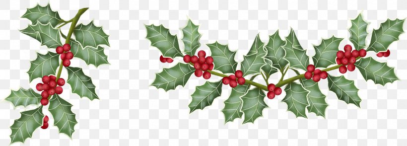 Christmas Day Drawing Poinsettia Christmas Graphics Image, PNG, 1131x406px, Christmas Day, American Holly, Animation, Berry, Branch Download Free