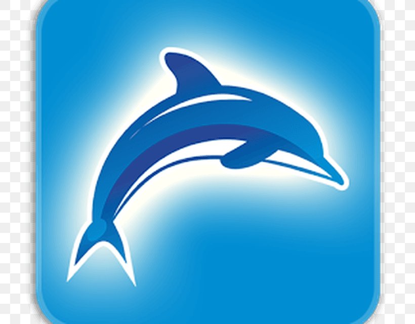 Common Bottlenose Dolphin Font, PNG, 800x640px, Common Bottlenose Dolphin, Blue, Bottlenose Dolphin, Dolphin, Fin Download Free