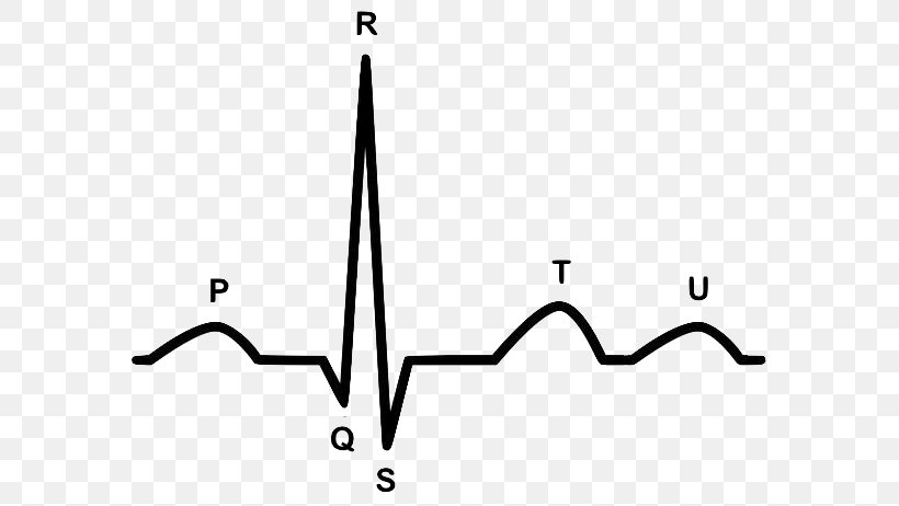 Electrocardiography Heart Arrhythmia Cardiology Cardiovascular Disease, PNG, 605x462px, Electrocardiography, American Heart Association, Area, Black, Black And White Download Free