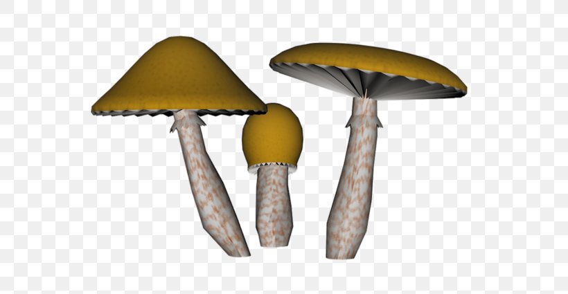 Common Mushrooms Fungus Amanita Muscaria Rendering, PNG, 600x425px, 3d Computer Graphics, Mushroom, Agaric, Amanita Muscaria, Fungus Download Free