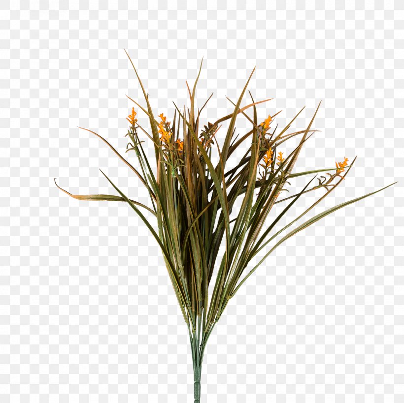 Flower Plants Houseplant Dracaena Sweet Grass, PNG, 1600x1600px, Flower, Artificial Flower, Branch, Commodity, Dracaena Download Free