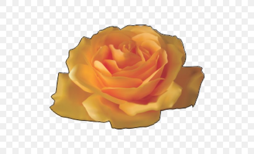 Rose Flower Yellow Clip Art, PNG, 500x500px, Rose, Color, Cut Flowers, Floribunda, Florist Download Free