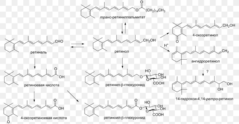 Vitamin A Retinol Retinal Carotenoid, PNG, 800x427px, Vitamin A, Area, Betacarotene, Black And White, Carotene Download Free